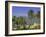 Soller, Majorca (Mallorca), Balearic Islands, Spain, Europe-John Miller-Framed Photographic Print