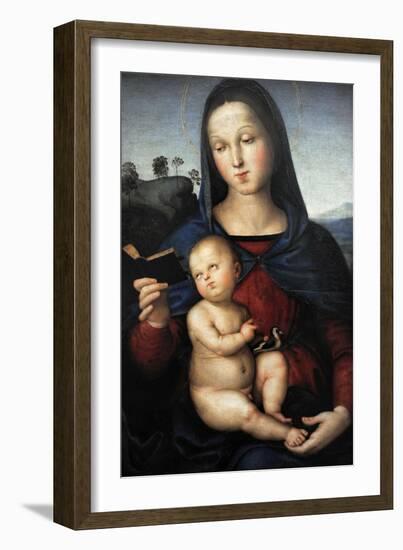 Solly Madonna, C.1502-Raphael-Framed Giclee Print