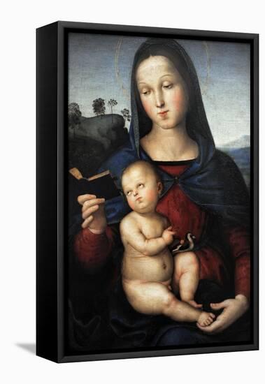 Solly Madonna, C.1502-Raphael-Framed Premier Image Canvas