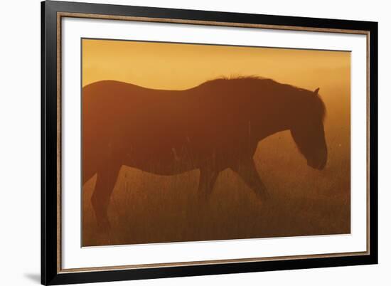 Solo Calm-Staffan Widstrand-Framed Giclee Print