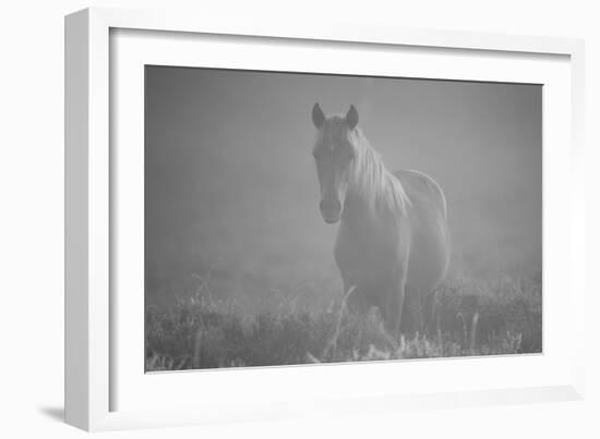 Solo Dawn-Matt Roseveare-Framed Giclee Print