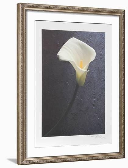 Solo Flower-Harvey Edwards-Framed Collectable Print