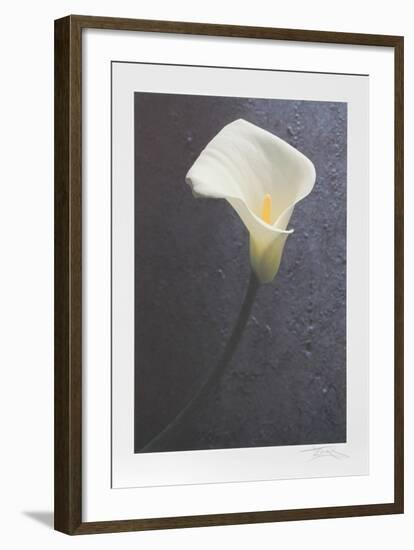 Solo Flower-Harvey Edwards-Framed Collectable Print