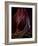 Solo Journey In Earth's Womb-Yvette Depaepe-Framed Giclee Print