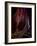 Solo Journey In Earth's Womb-Yvette Depaepe-Framed Giclee Print