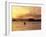Solo Kayaker Enjoys Sunset, Ketchikan, Alaska, USA-Howie Garber-Framed Photographic Print