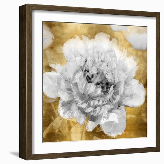 Solo on Gold I-Shawna Sullivan-Framed Art Print