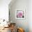 Solo Pink I-Shawna Sullivan-Framed Art Print displayed on a wall