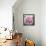 Solo Pink II-Shawna Sullivan-Framed Stretched Canvas displayed on a wall