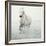 Solo Surf-Irene Suchocki-Framed Giclee Print