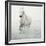 Solo Surf-Irene Suchocki-Framed Giclee Print