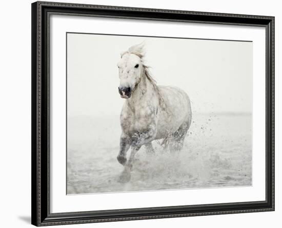 Solo Surf-Irene Suchocki-Framed Giclee Print