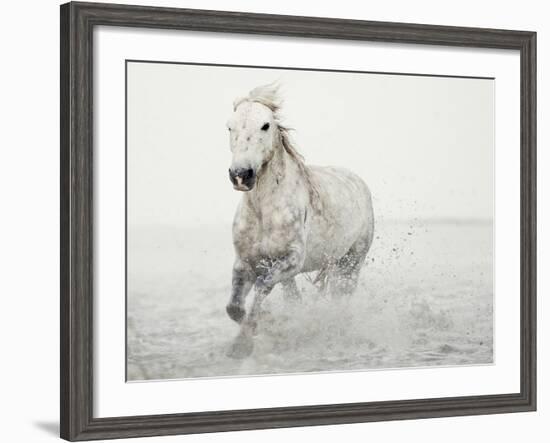 Solo Surf-Irene Suchocki-Framed Giclee Print