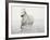 Solo Surf-Irene Suchocki-Framed Giclee Print