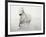 Solo Surf-Irene Suchocki-Framed Giclee Print