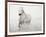 Solo Surf-Irene Suchocki-Framed Giclee Print