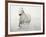 Solo Surf-Irene Suchocki-Framed Giclee Print