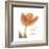 Solo Tulip Colored-Albert Koetsier-Framed Premium Giclee Print