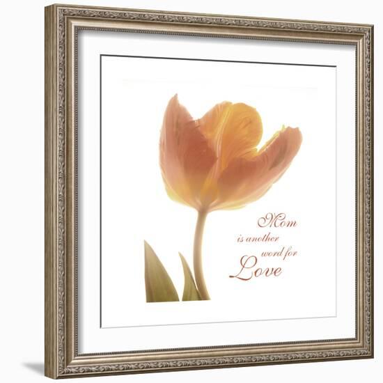 Solo Tulip Colored-Albert Koetsier-Framed Premium Giclee Print