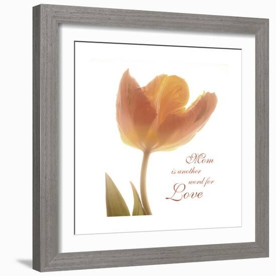 Solo Tulip Colored-Albert Koetsier-Framed Premium Giclee Print