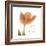 Solo Tulip Colored-Albert Koetsier-Framed Premium Giclee Print