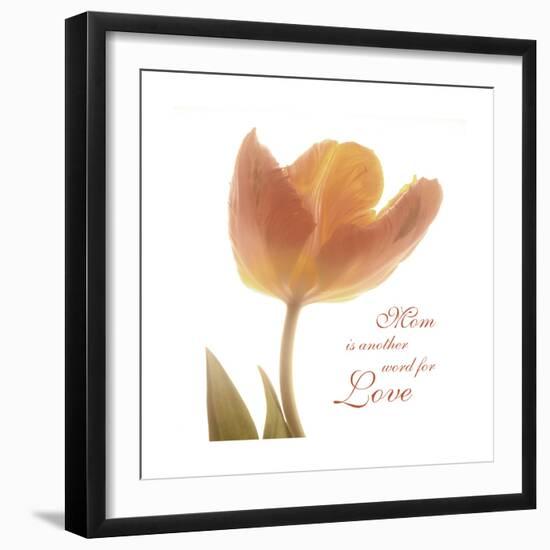 Solo Tulip Colored-Albert Koetsier-Framed Premium Giclee Print