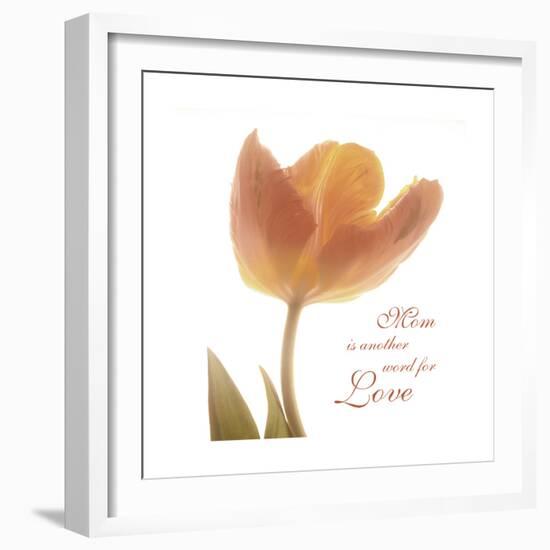 Solo Tulip Colored-Albert Koetsier-Framed Premium Giclee Print