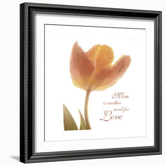 Solo Tulip Colored-Albert Koetsier-Framed Premium Giclee Print