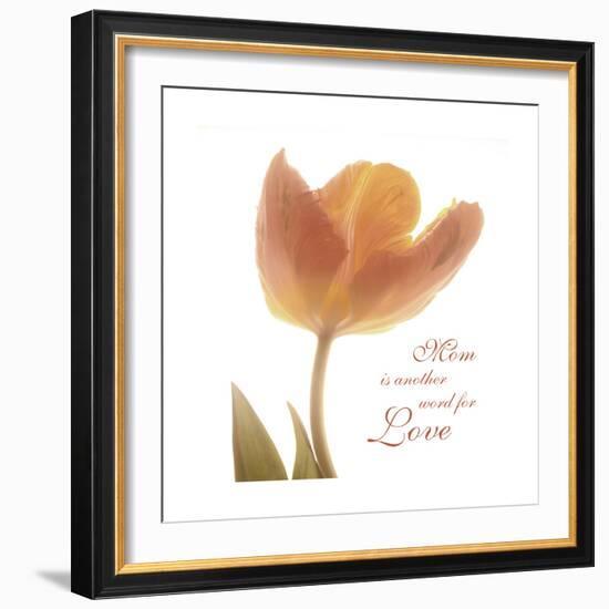 Solo Tulip Colored-Albert Koetsier-Framed Premium Giclee Print