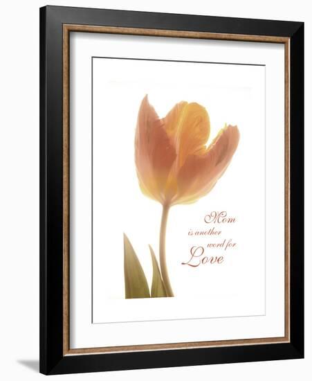 Solo Tulip Colored-Albert Koetsier-Framed Premium Giclee Print