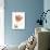 Solo Tulip Colored-Albert Koetsier-Premium Giclee Print displayed on a wall