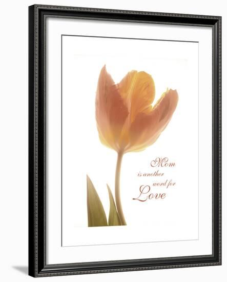 Solo Tulip Colored-Albert Koetsier-Framed Premium Giclee Print