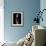 Solo Tulip Xray-Albert Koetsier-Framed Premium Giclee Print displayed on a wall