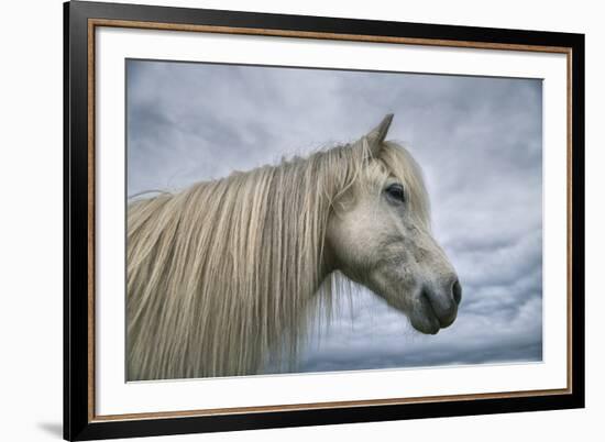 Solo-Andreas Stridsberg-Framed Giclee Print