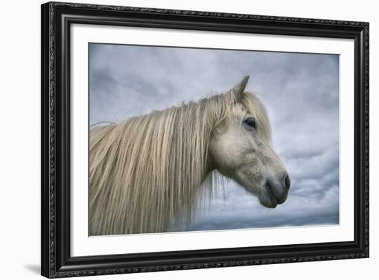 Solo-Andreas Stridsberg-Framed Giclee Print