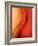 Solo-Ursula Abresch-Framed Photographic Print