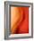 Solo-Ursula Abresch-Framed Photographic Print