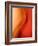 Solo-Ursula Abresch-Framed Photographic Print