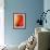 Solo-Ursula Abresch-Framed Photographic Print displayed on a wall