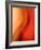 Solo-Ursula Abresch-Framed Photographic Print