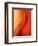 Solo-Ursula Abresch-Framed Photographic Print