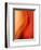 Solo-Ursula Abresch-Framed Photographic Print