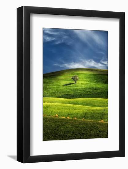 Solo-Marco Carmassi-Framed Photographic Print