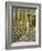 Solomon Dedicates the Temple at Jerusalem-James Tissot-Framed Giclee Print