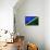 Solomon Islands Flag Design with Wood Patterning - Flags of the World Series-Philippe Hugonnard-Mounted Art Print displayed on a wall