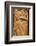 Solomon Islands, Guadalcanal Island. Cultural Center, Wood Carving-Cindy Miller Hopkins-Framed Photographic Print