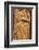 Solomon Islands, Guadalcanal Island. Cultural Center, Wood Carving-Cindy Miller Hopkins-Framed Photographic Print