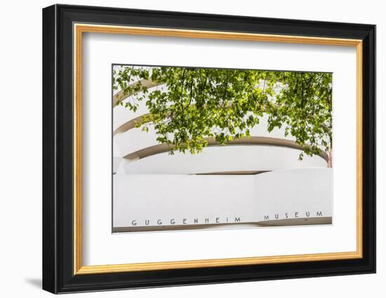 Solomon R Guggenheim Museum, Manhattan, New York, USA-Jordan Banks-Framed Photographic Print