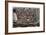 Solomon's Temple - Jerusalem-Braun Hogenberg-Framed Art Print