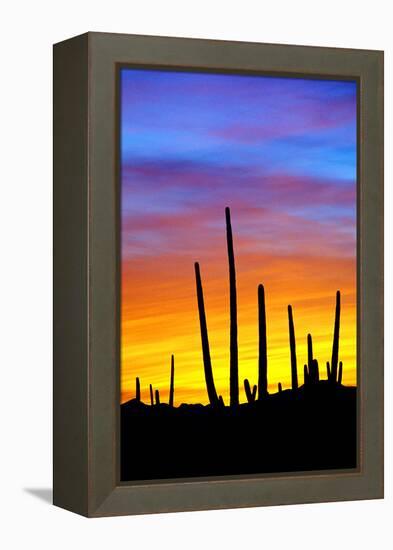 Solstice Sunset-Douglas Taylor-Framed Premier Image Canvas
